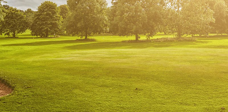 Little Hay Golf Club